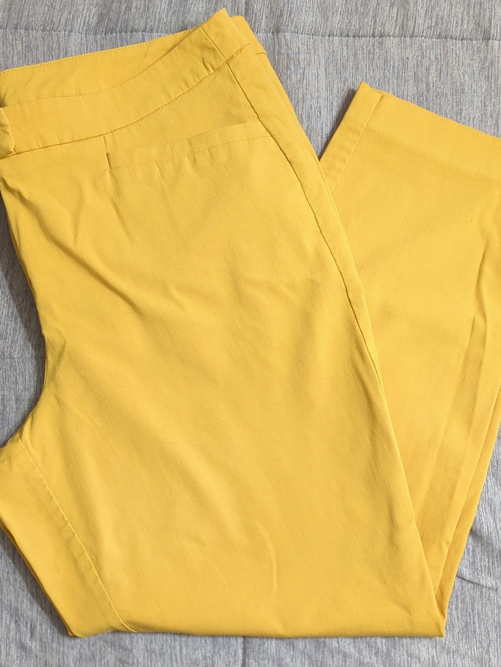 Lane Bryant Yellow Pants